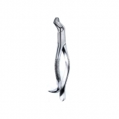 Extracting Forceps American Pattern